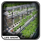 Hydroponic Garden Design آئیکن