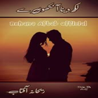 Likh Dena Ankhon Se By Rehana Aftab - Novel icon