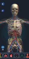 Human Anatomy 3D plakat