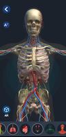 Human Anatomy 3D Plakat