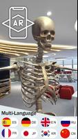 Human Anatomy 3D imagem de tela 3