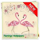 Tapety Flamingo ikona