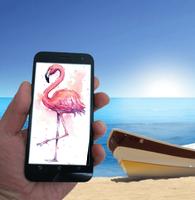 Flamingo Wallpapers 스크린샷 1