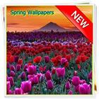 Spring Wallpapers آئیکن