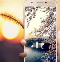 Spring Wallpapers پوسٹر