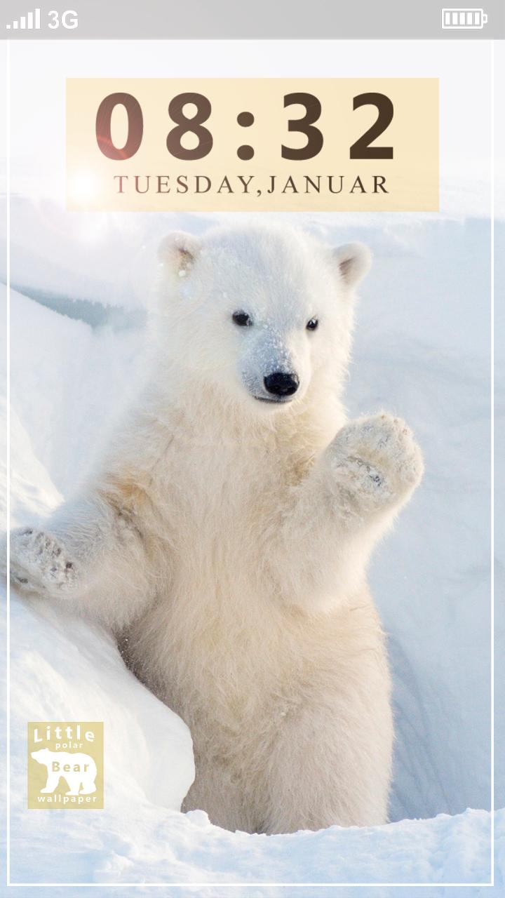 550 Gambar Hewan Beruang Kutub Gratis