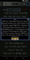 برنامه‌نما FlashE Hebrew: Genesis (demo) عکس از صفحه