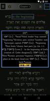 FlashE Hebrew: Genesis (demo) imagem de tela 3