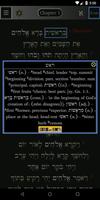 FlashE Hebrew: Genesis (demo) 截图 1