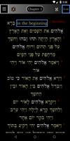 FlashE Hebrew: Genesis (demo) 截图 2