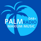 Palm Radio icône