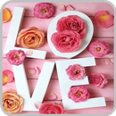 Love Pink Wallpapers APK