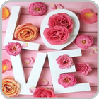 Love Pink Wallpapers icon