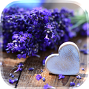 Liebe Blumen Live Hintergrund APK