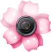 Lovely Sakura Picture Frames
