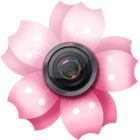 Lovely Sakura Picture Frames icon