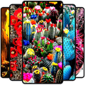 Cactus Wallpaper