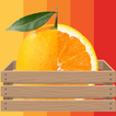 OG Orange Grading icon