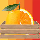 OG Orange Grading आइकन