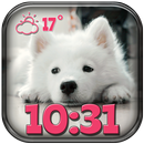 子犬時計天気ウィジェット APK