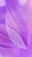 Purple Wallpapers captura de pantalla 3