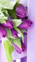 Purple Tulips Live Wallpaper 스크린샷 3