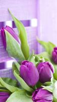Purple Tulips Live Wallpaper скриншот 1