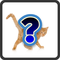 Puzzle cats