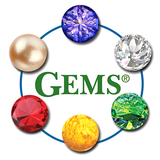Dementia Stages Ability Model- أيقونة