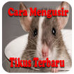 Cara Mengusir Tikus Terbaru Mu icon