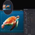 DavinciI Resolve- Basic Editor