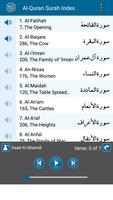 Holy Quran Audio Mp3 Offline, 11 Qurra Tilawat screenshot 1