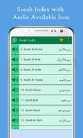 Holy Quran Pak with Urdu Translation MP3 - Offline capture d'écran 1