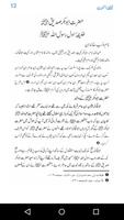 Khulfa e Rashideen in Urdu capture d'écran 3