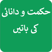 Hikmat Aur Danayi Ki Baatein