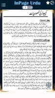Learn InPage in URDU - اِن پیج تصوير الشاشة 3