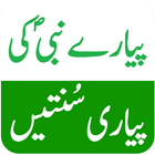 Pyare Nabi(PBUH) ki Sunnatain أيقونة