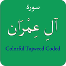 Surah Al Imran (سورة آل عمران) APK