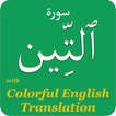 Colorful Surah At Tin with English Translation