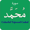 Surah Muhammad (سورة محمد) Col