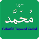Surah Muhammad (سورة محمد) Col APK