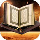 القرأن الكريم بدون نت - (11) Q APK