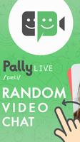 پوستر Pally Video chat