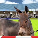 Jumping Donkeys Champions-Donk aplikacja