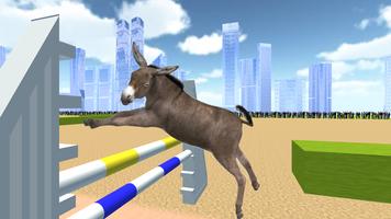 Jumping Donkeys Champions Affiche