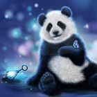Pandabär Live Hintergrund Zeichen
