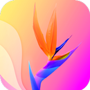 Pastel Wallpaper 4K APK