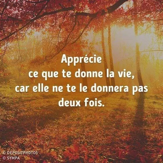 Les Plus Belles Citations D Amour For Android Apk Download