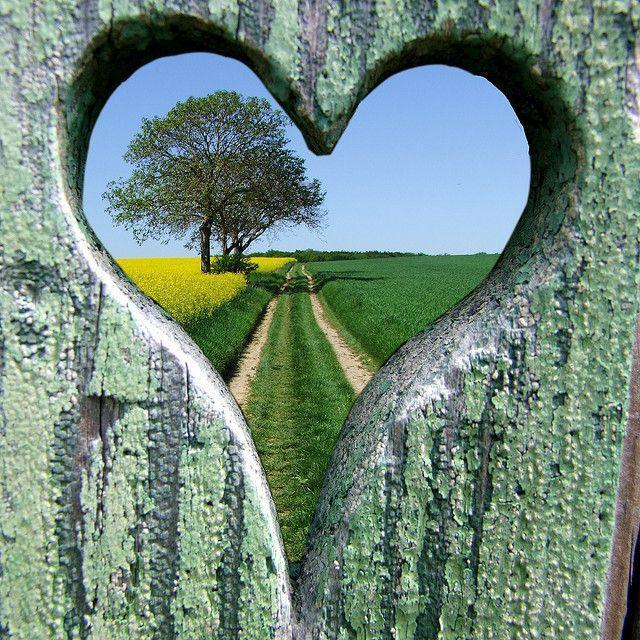 Les Plus Belles Citations D Amour For Android Apk Download