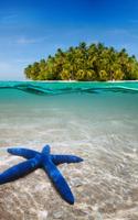 Île Paradisiaque Fond D'écran capture d'écran 3